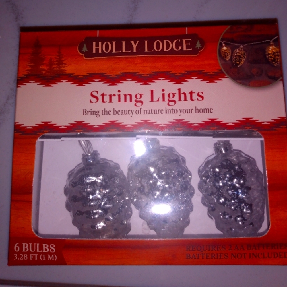 New acorn string lights 🍂 Fall Decor